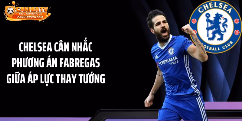 Chelsea Cân Nhắc Phương Án Fabregas Giữa Áp Lực Thay Tướng
